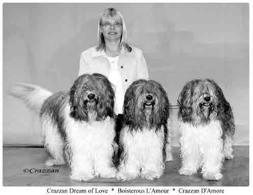 kennel Crazzan - saavutuksia vuonna 2007 Kans & Fin & S & Dk & N & B & Lux Mva PMV-05 V-03 InnsbVSg-07 Boisterous L Amour - Vuoden Jalostusnarttu, Vuoden Schapendoes narttu 3. Vuoden Veteraani 2.