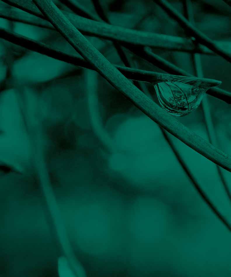Tärkeimmät vastuullisuusaiheemme Autamme asiakkaitamme menestymään Pitkäaikainen asiakasyhteistyö Parannamme jatkuvasti työturvallisuutta Työturvallisuus Korostamme puutuotteiden