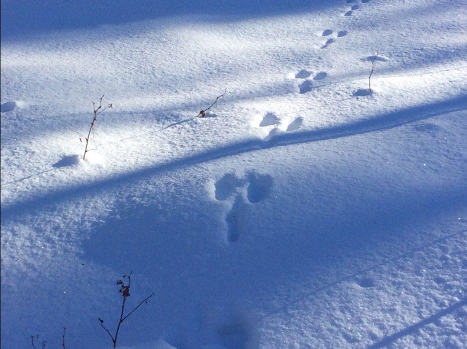 LASTEN JA NUORTEN TOIMINTAA TÖNÖLLÄ Huopalahden kirkolla sijaitseva Tönö, os. Kauppalankuja 7, on Haagan seurakunnan nuorten oma talo, jonne toimintamme suurelta osin keskittyy.