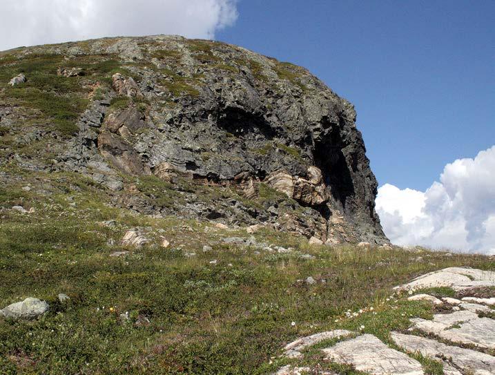 Tunturikirjosiipi, Pyrgus andromedae (Wallengren, 1853); NT; Le Ravintokasvi: Varmistamaton, ravintokasviksi on ehdotettu tunturipoimulehteä (Alchemilla glomerulans) (Marttila ym. 1990).
