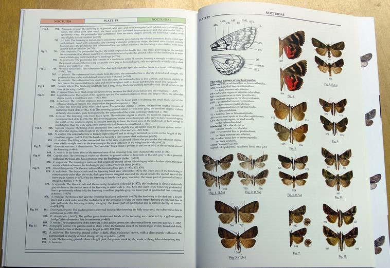 Baptria 3/2011 Vol. 36 s. 67 Pääkirjoitus s. 68 Uutisia ja tiedotuksia Finnish mafia in Luxembourg XVIIth European Congress of Lepidopterology Heikkilä M., & Kekkonen M. s. 70 Katsaus Enontekiön uhanalaisiin tunturiperhoslajeihin ja tunturiperhosseurannan esiintymisaluehavaintoihin vuosina 2008 2011 Välimäki P.