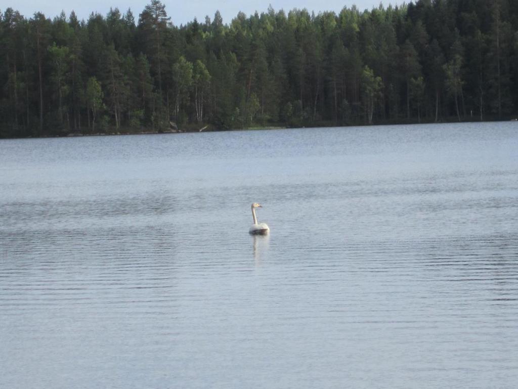 Kiitos palautteesta!