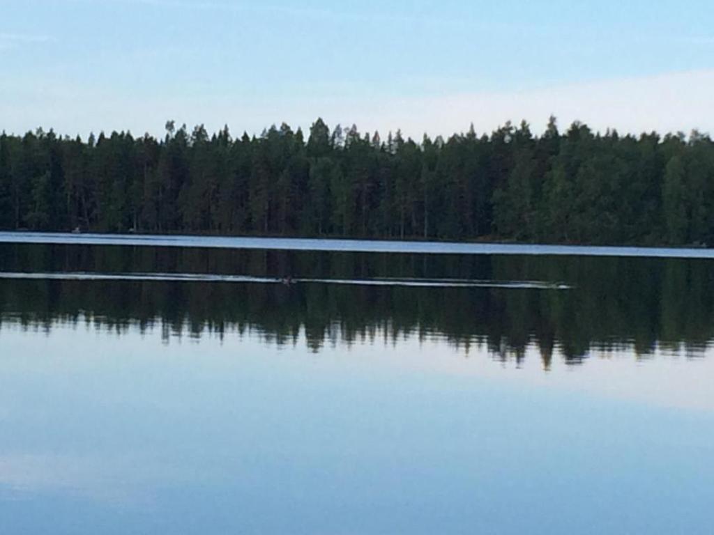 Yleisiä kommentteja Viranomaisvalvontaa pidetään tärkeänä, kuten myös kaikkien eri sektoreiden ja toimijoiden osallistamista.