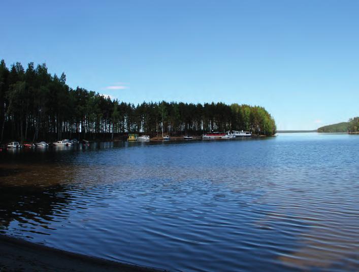 ASIKKALAN RISMALAHDEN RANTA-ASEMAKAAVA-ALUEEN LUONTOARVOJEN PERUSSELVITYS
