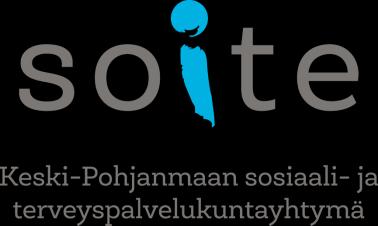 Versio 3.0 Päiväys 2019