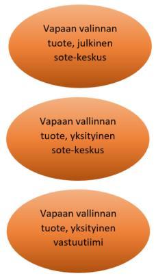 kouluterveydenhuolto lastensuojelupalvelut työterveyshuollon palvelut aikuisten sosiaalipalvelut (paitsi sosiaaliohjaus, johon ei kuulu julkisenvallan käyttöä tai viranomaistoimintaa) hoito- ja