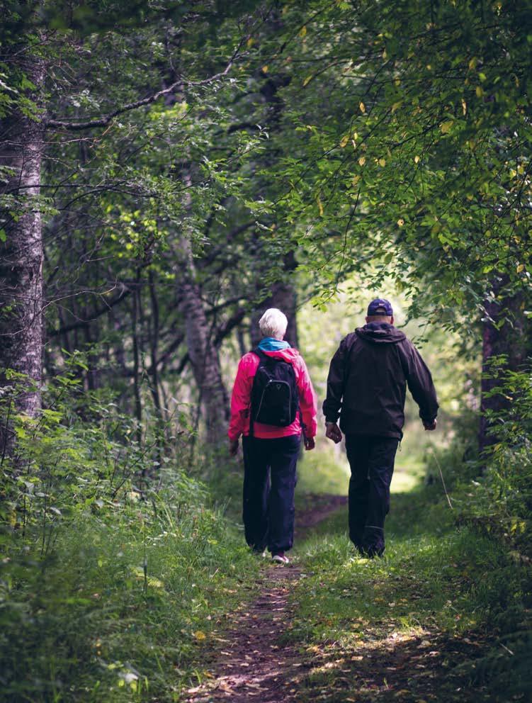 Vuoden 2019 kurssit MS-tautia tai harvinaista