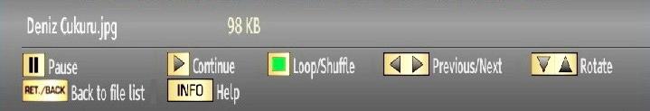 Loop/Shuffle (GREEN button): Press once to disable Loop. Press again to disable both Loop and Shuffle. Press once more to enable only Shuffle. Press again to enable all.