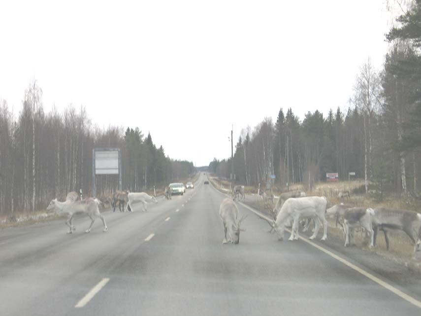 JOHDANTO Tämän liikennekasvatussuunnitelman tavoitteena on ollut päivittää vuonna 2000 laadittu liikennekasvatussuunnitelma.