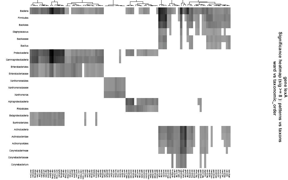 Significance map of the motifs discovered in promoters of lexa orthologs at all taxonomical levels Gamma motif The heat map illustrates the most significant motifs (sig >= 8) found at different