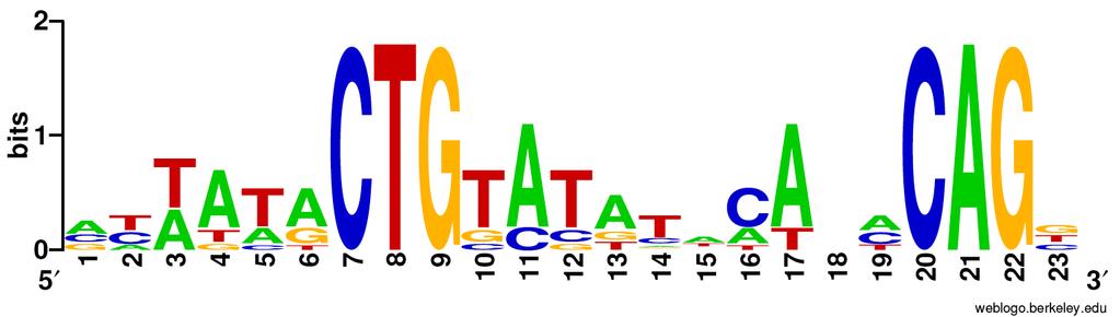 LexA aligned binding sites and position-specific scoring matrix (PSSM) 1 1 : 1/7 ATTATACTGTATGCTCATACAGT! 2 2 : 2/8 CTTTTGCTGTATATACTCACAGC! 3 3 : 3/10 GCATAACTGTATATACACCCAGG!