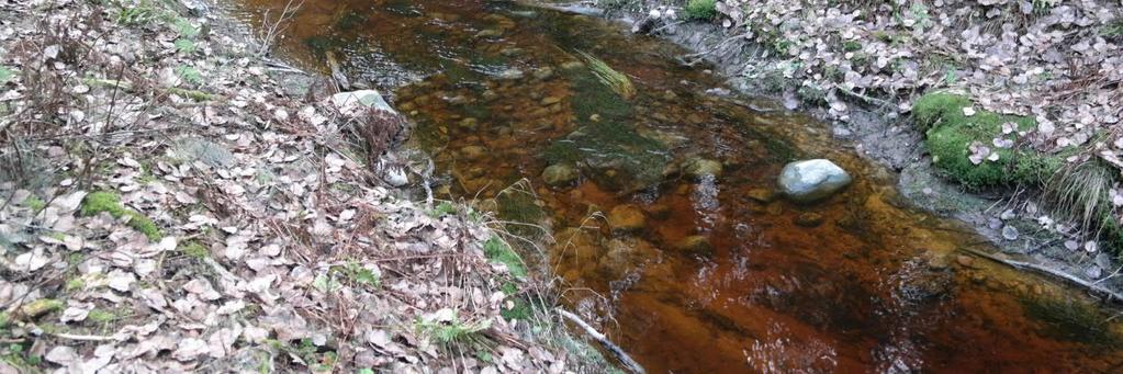 Vesilaitosalueelta laskevan ojan syöpynyttä alaosaa Korsobäckenin yhtymäkohdassa loivennetaan ja eroosiosuojataan vaihtelevan kokoisella kiviaineksella.
