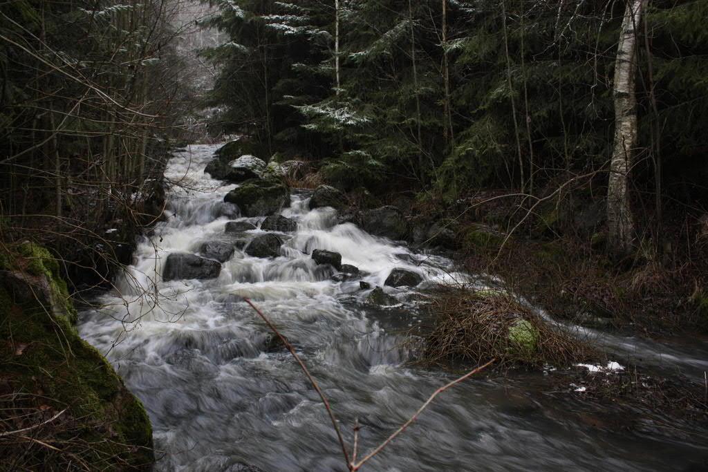 Kirkkonummen kunta Pienvesiselvitys 75 (128) Forsdalinkoski on jo nykytilassaan varsin monimuotoinen.