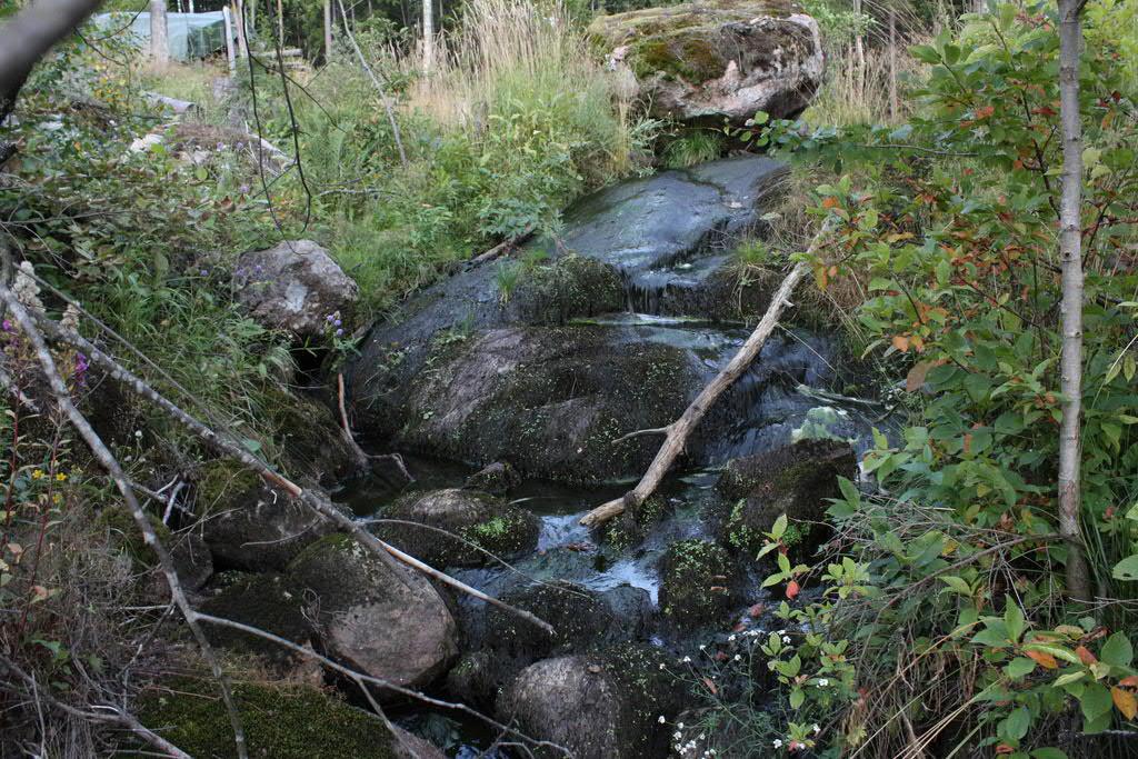 Kirkkonummen kunta Pienvesiselvitys 80 (128) Koskialueen yläosan köngäs (10e3) on poikkeuksellisen jyrkkä ja se sisältää laajoja kalliopaljastumia, joiden yli vesi juoksee ohuena kalvona (kuva 22).