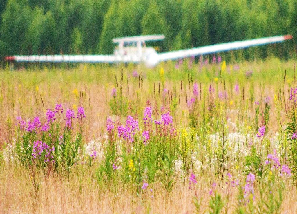 Kaunis mutta sopimaton lähtöpaikka Älä aloita hinauksia jos lähtöpaikalla on yli