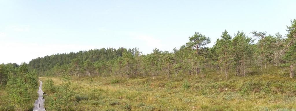Mikkelin seudun