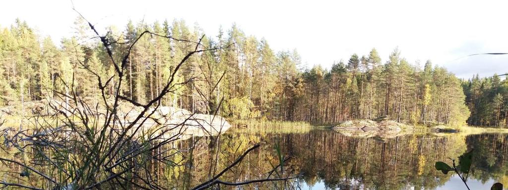 tehdä Hiidenkodasta varauskota yhteistyössä alueen yrittäjän ja/tai Hiidenmaan retket ry:n kanssa. Hiidenkierroksen varrelle tehdään luontotyypit erittelevä luontokartoitus.