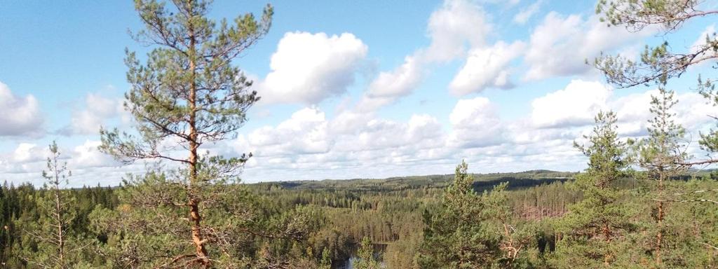 Suunnitelma Sydänmaan reitin kävijämäärää selvitetään laskurin avulla. Kävijämäärää olisi hyvä seurata useampana kesänä, esim. 2019, 2021 ja 2023.