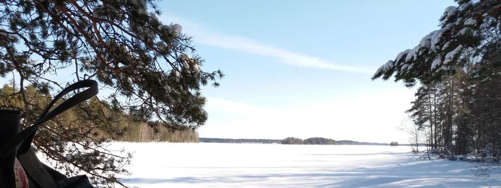 Retkeilyreitin ympäristö ja retkeilyreitillä olevat maisema-alueet jätetään talousmetsäkäytön ulkopuolelle ja alueita