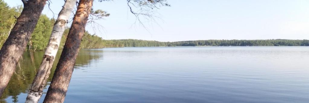 Suunnitelma Satulinnan reitti kunnostetaan ympärivuotiseksi. Kosteita painanteita parannetaan ja tasoitetaan kankaalla ja murskeella. Opasteet kunnostetaan.