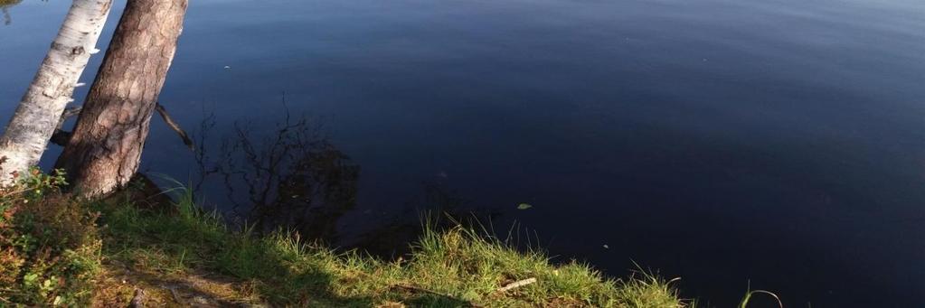 Mäknistön laavua kehitetään reitin taukopaikkana. Suo-osuuden ja Satulinnan väliin jäävät urat kunnostetaan esim. täyttömaalla tasaisemmiksi.
