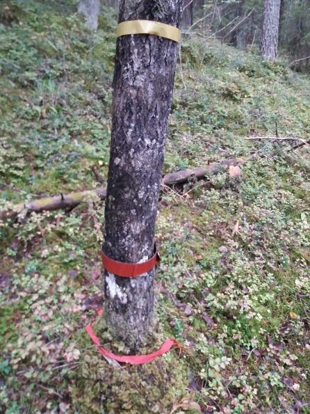 Retkeilyn kannalta maisema ja luontoarvot ovat tärkeitä etenkin silloin, kun reiteille halutaan ohjata matkailijoita.