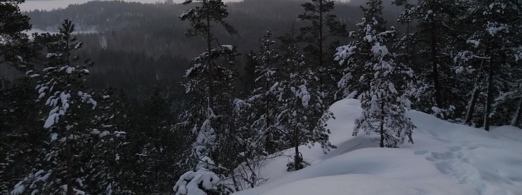 Kunnostuksen suunnittelu on tehty yhdessä yhdistyksen kanssa, ja Hiidenkierros on raivattu ja opastettu punaisilla puupannoilla. Myös viitoitusta on korjattu.