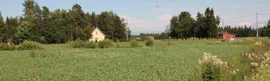 Tarkemmissa kaavoissa alueella on jo virkistysaluevaruksia, mikä tukee MU -merkintää. MU -alueella sallitaan normaali metsänhoito.