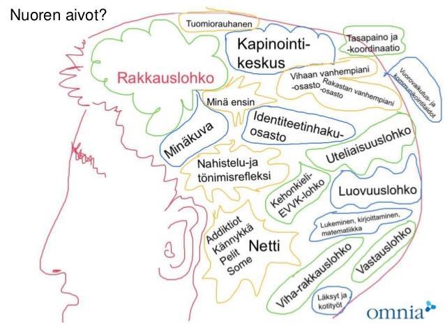 HAASTE NUORTEN AIVOJEN KANSSA: -STRESSI/TUNNEAIVOT VALMIINA noin 17- vuotiaana