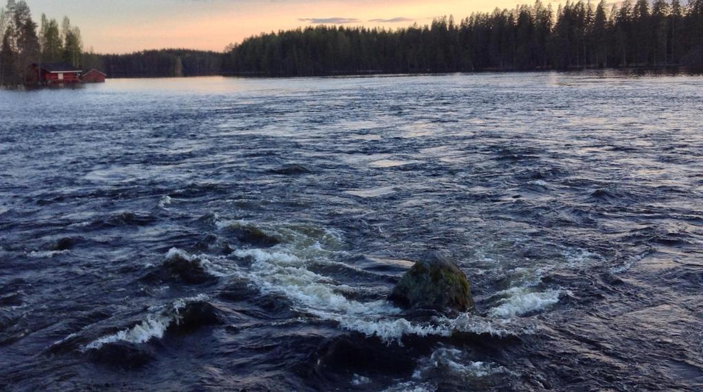 Myös tieteellinen kirjoittaminen on luova