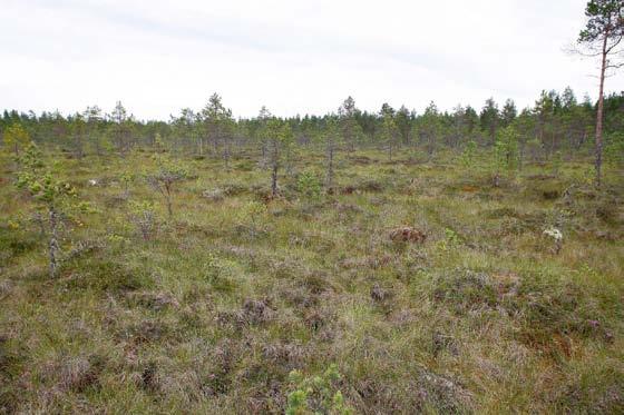 identiteetin vahvistaminen asukkaat ja luonnonympäristö huomioiden. Tavoitteena on kotimaisen energiantuotannon lisääminen ja huoltovarmuuden edistäminen.