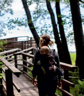 Alueidenkäyttö, luonnonvarat ja liikenne -valmistelutyöryhmän puheenjohtajana toimii