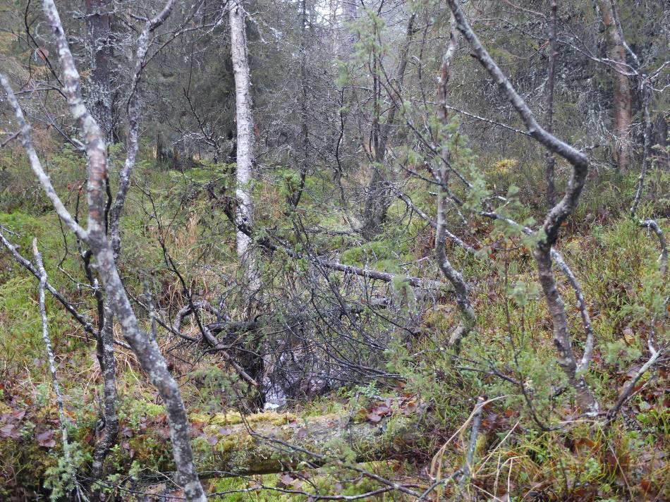 Kaavaehdotuksessa 201.. oli kortteleissa pinta-alaa ja rakennusoikeutta seuraavasti: Kortteli Merkintä Pinta-ala Rakennusoikeus Kaavan aluetehokkuus oli luonnoksessa e= 0.028.