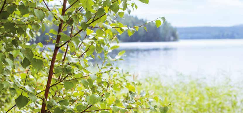 25 Suurenmoiset löylyt suurenmoiselle porukalle Harvia 36 Harvia 36 on suurten saunojen tehokiuas. Sen ominaisuudet riittävät kunnon löylyjen ottamiseen suurellakin seurueella.