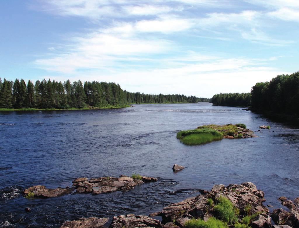 Veden laatu ja valuma-alue Visio 2030: Iijoen vesistön veden laatu on ekologisesti hyvä tai erinomainen mahdollistaen vesistön monipuolisen virkistyskäytön ja lajiston monimuotoisuuden.