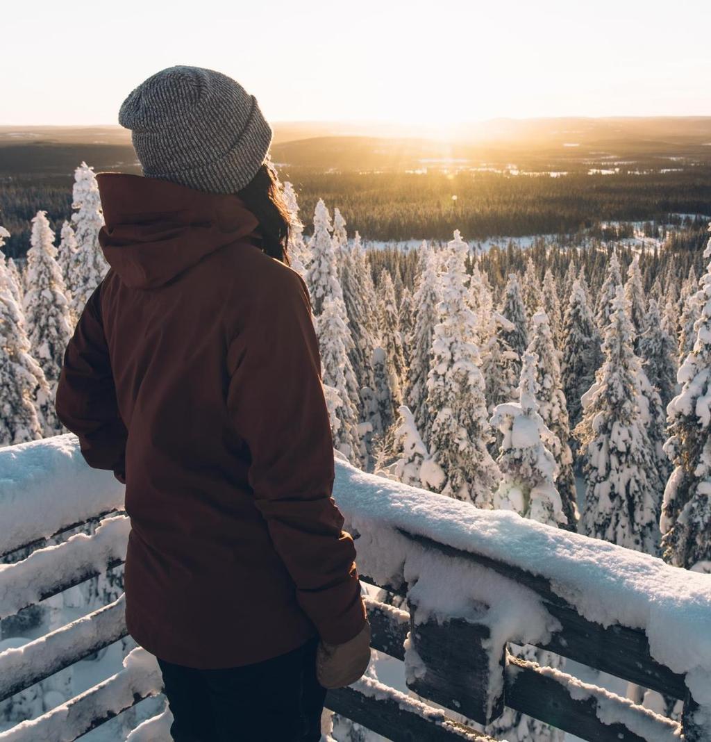 3. Vahvistamme paikallisuutta Paikallinen tietämys, tutkimustieto, kokemukset ja kulttuuri ovat lähtökohta elämysten tarjonnassa Opastus on laadukasta ja toimijat tuntevat hyvin alueen sekä