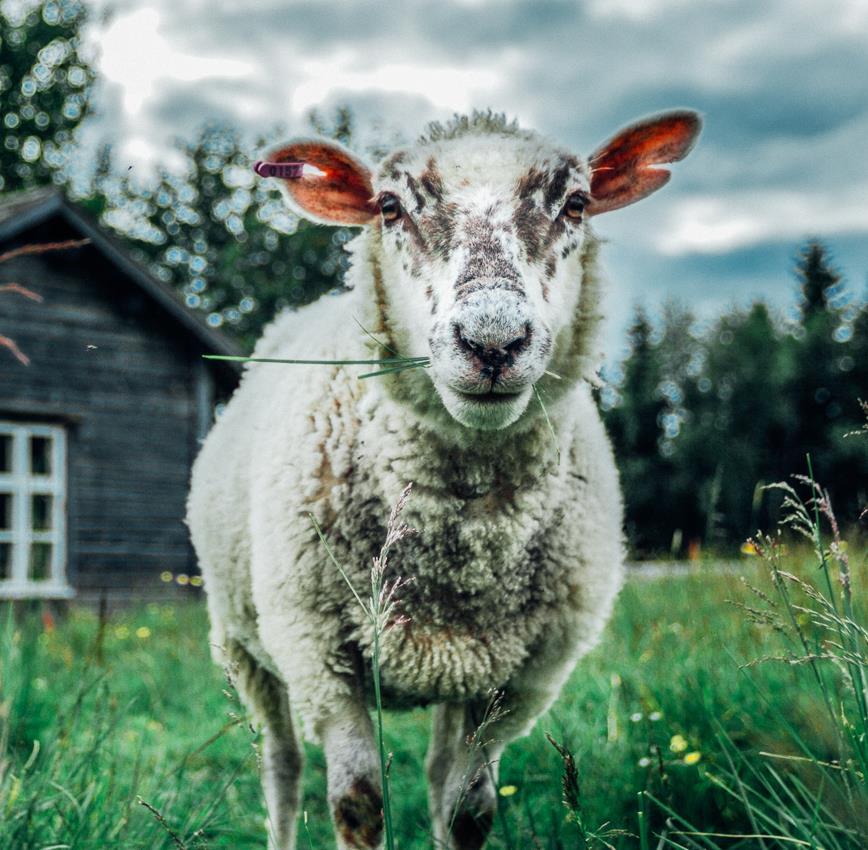 vastuut kohteen hoidossa ja palveluiden tuottamisessa Tarjoamme tietoa kohteista ja palveluista ennakkoon,