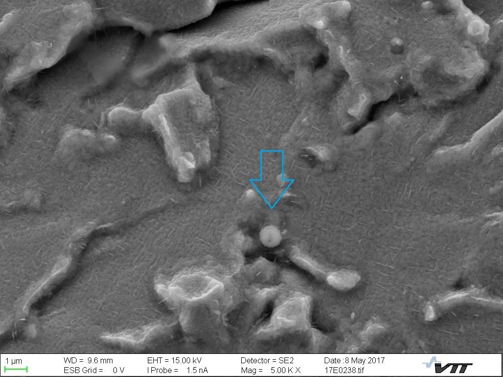 Figure 59 SEM image of cleavage fracture surface with magnification 5000x; the blue arrow