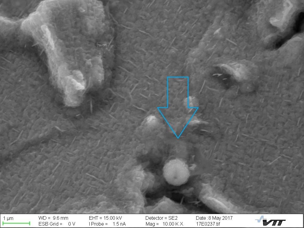 , 2017) Figure 60 SEM image of cleavage fracture surface with magnification 10 000x; the blue