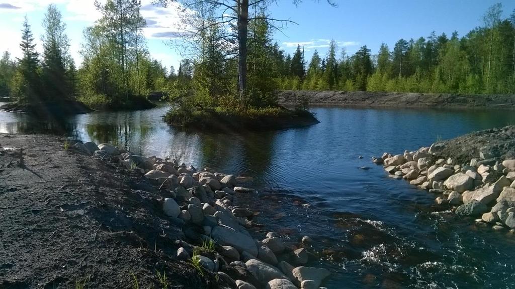 asukkaat, vapaa-ajan asukkaat sekä matkailijat. Vesistön kunnostuksesta hyötyy myös kalasto ja linnusto sekä muu luonnon monimuotoisuus. Särkiojan kosteikko valmistui kesällä 2017.