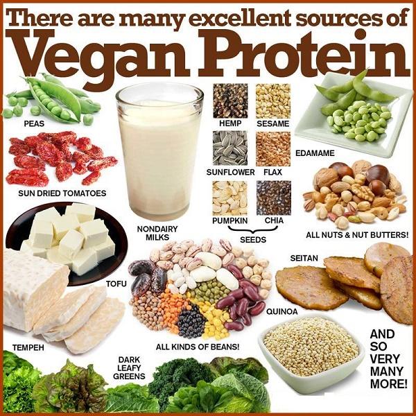 Vegaani asiakkaana; huomioitavaa lounasruokailussa Päivän tärkein ateria Monipuolisuus ja vaihtelevuus Riittävä proteiinin määrä Ravintoainerikkaus