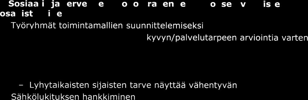 Vuoden 201 B toiminnan toteutuminen satt 1 Sosiaali- ja terveydenhuollon rakennemuutoksen valmisteluun osallistuminen o Tvöryhmät