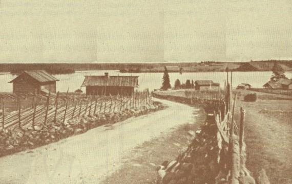 Tolvajärven koululta Tolvajärven rantaan johtava kylätie, takana