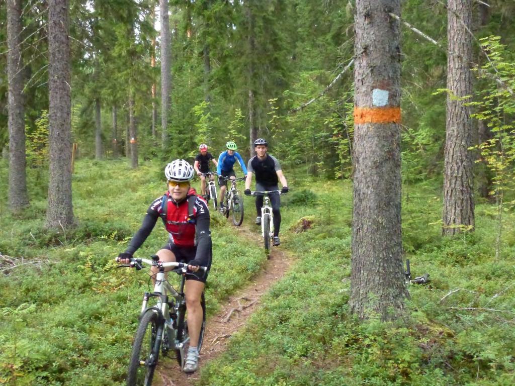 Poluista jalostettu merkitty