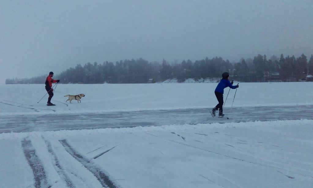 Luonnonjää on haluttu liikuntapaikka.