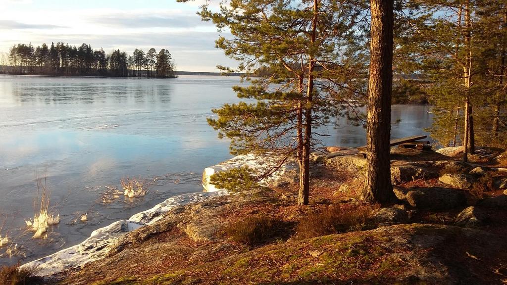 Kiitos! 21.3.