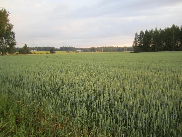 Miksi ravinteiden kierrätystä? 1.