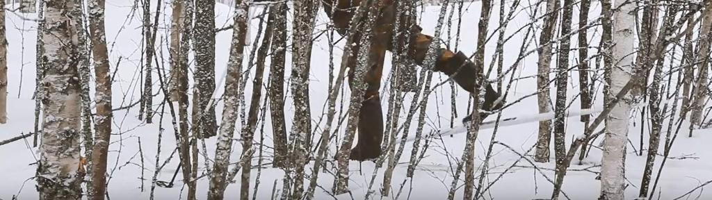 kiertotalouden ja ilmansuojelun linjauksista ja