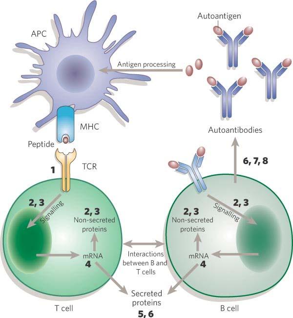 Applying Functional Genomics and