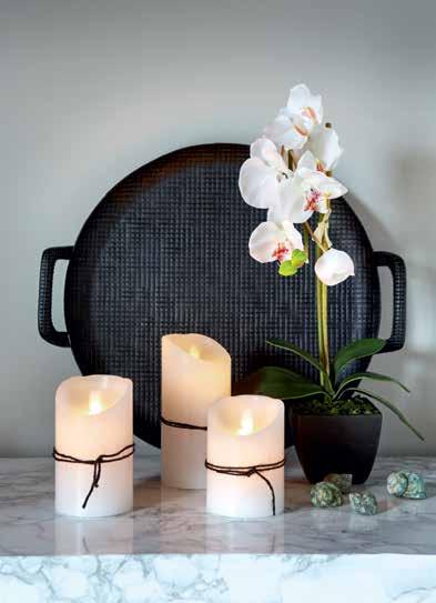 WHITE ORCHID K60 cm Astia 9x9x10 cm 22310 32,90